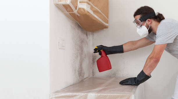Professional Crawl Space Mold Remediation technician working in Wake Forest, NC