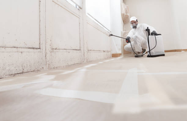 24/7 Emergency Crawl Space Mold Remediation experts in Wake Forest, NC