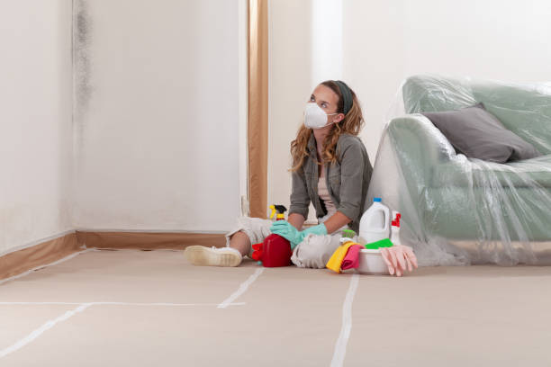Reliable Crawl Space Mold Remediation contractor in Wake Forest, NC by Mold Remediation HQ