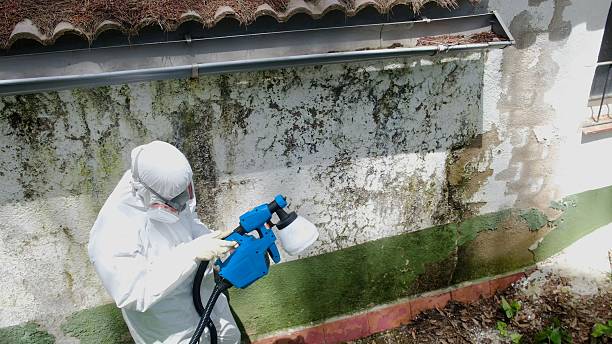 Top rated local Crawl Space Mold Remediation specialists in Wake Forest, NC